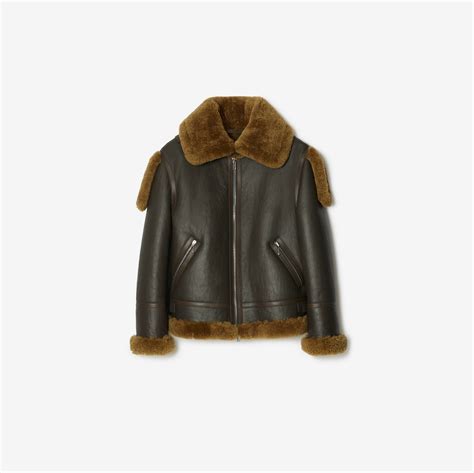 burberry ashurst shearling|Shearling Aviator Jacket in Otter .